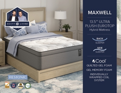 Beautyrest maxwell plush outlet pillow top